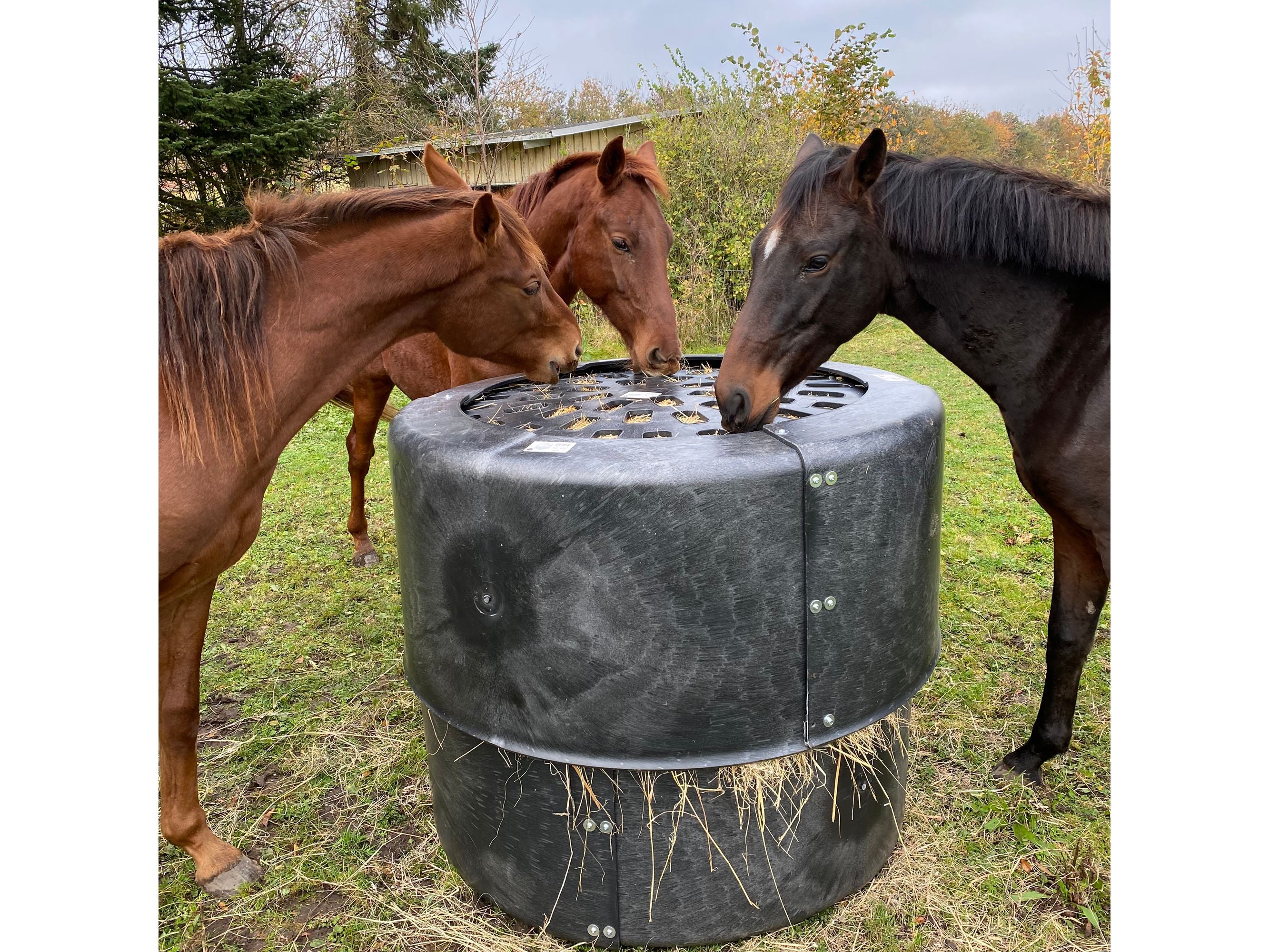Icelandic Horse Heuspender Iglu für ganze Heuballen