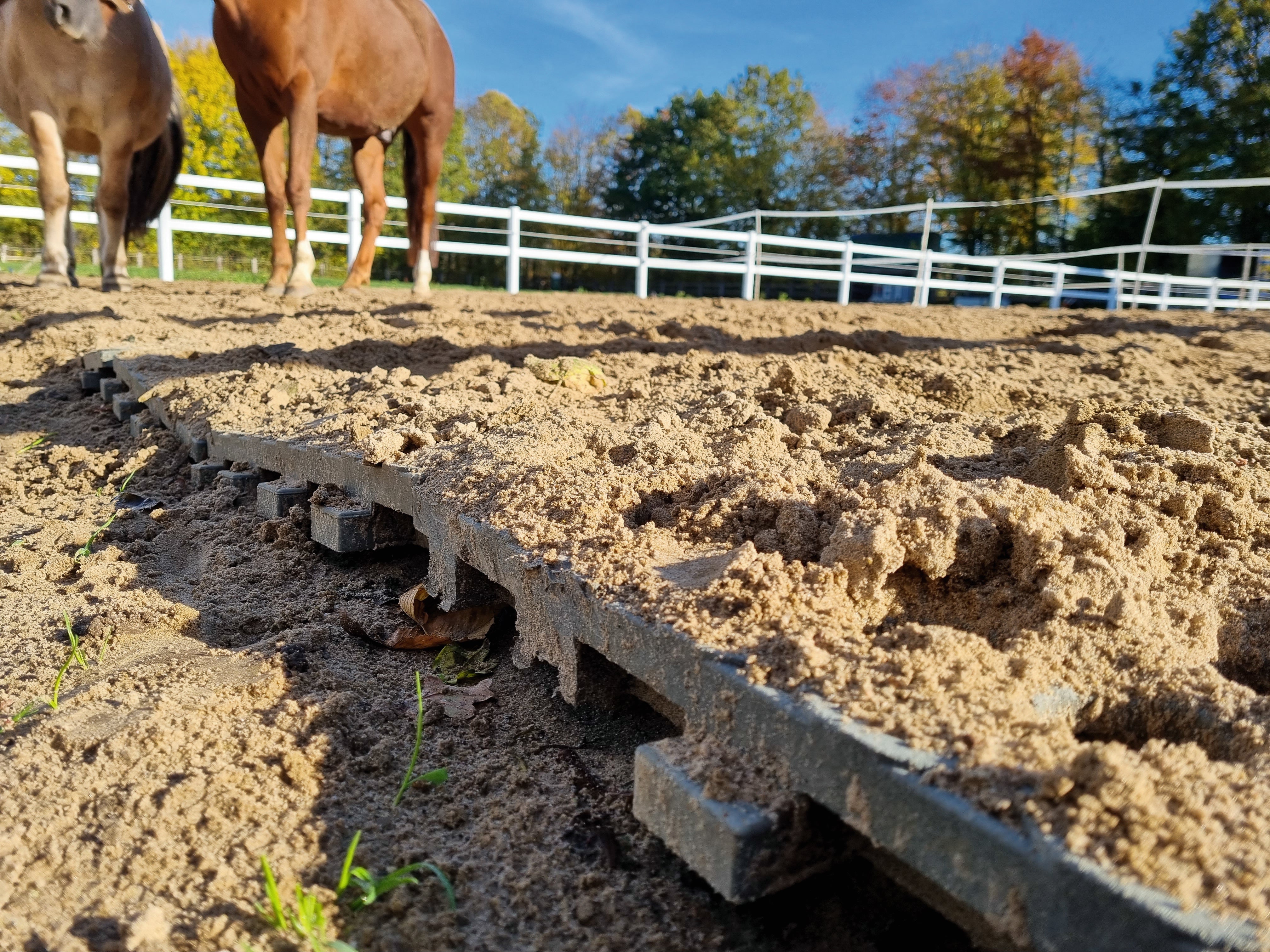 Icelandic Horse paddock panels 50x40x4 cm