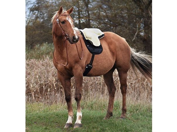 Faux fur saddle