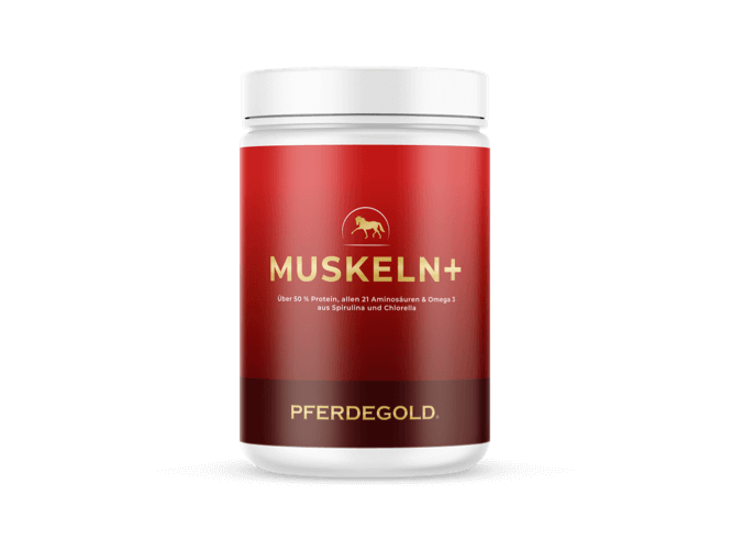 Muskeln+ 2.0