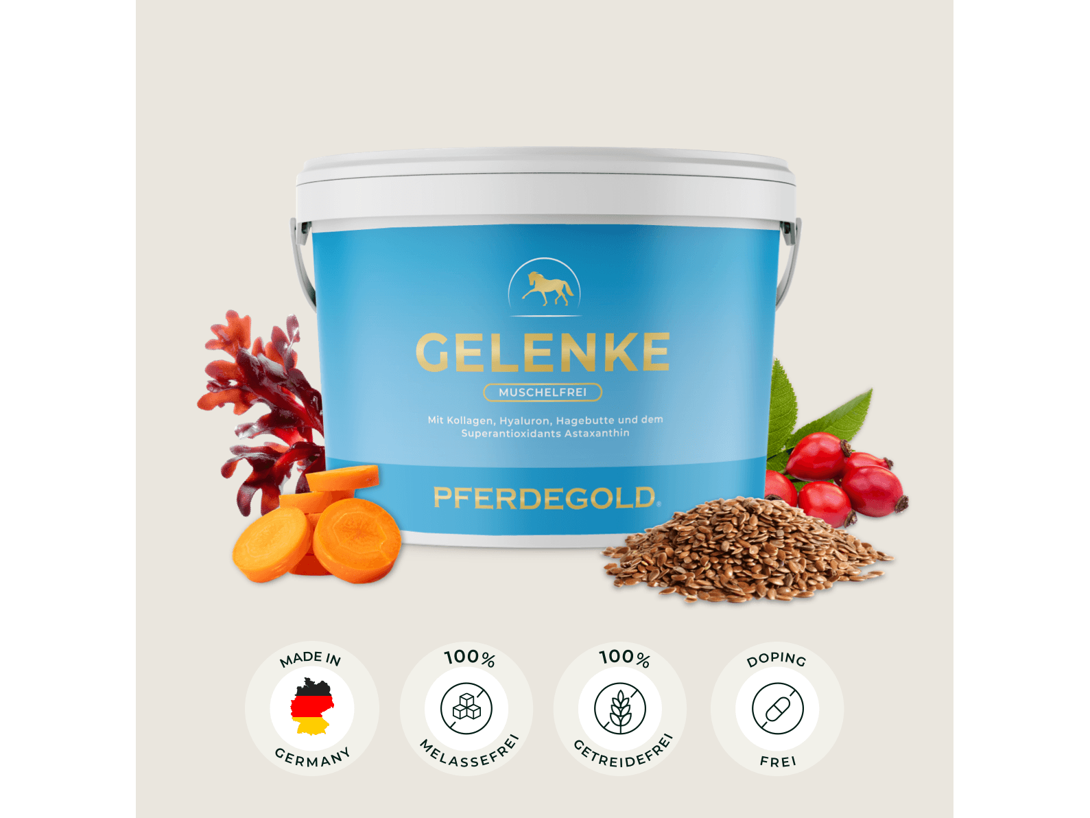 Gelenke Muschelfrei 2.0