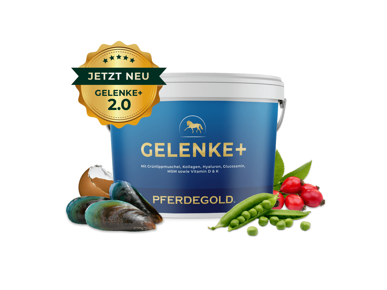 Gelenke+ 2.0