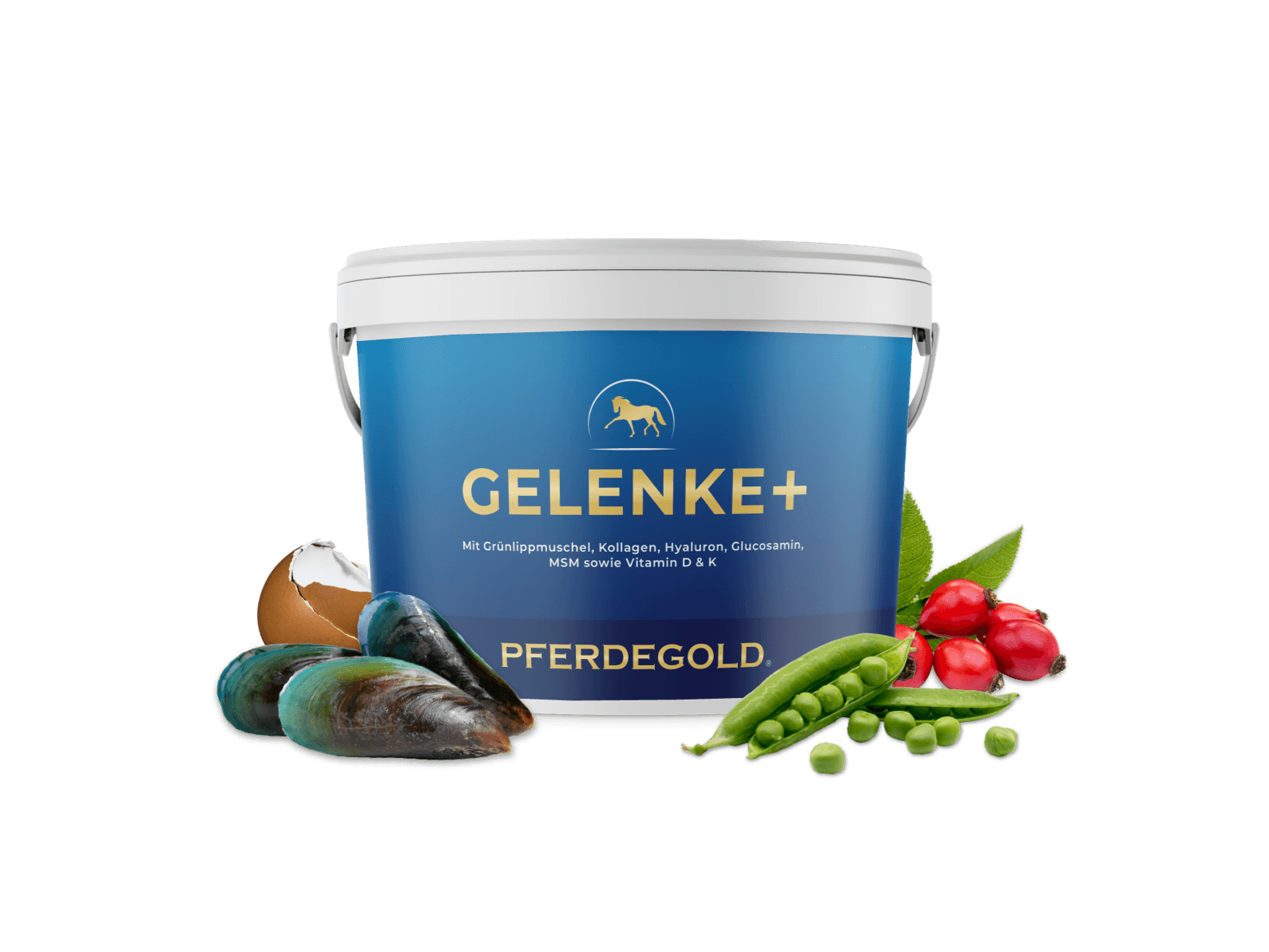 Gelenke+