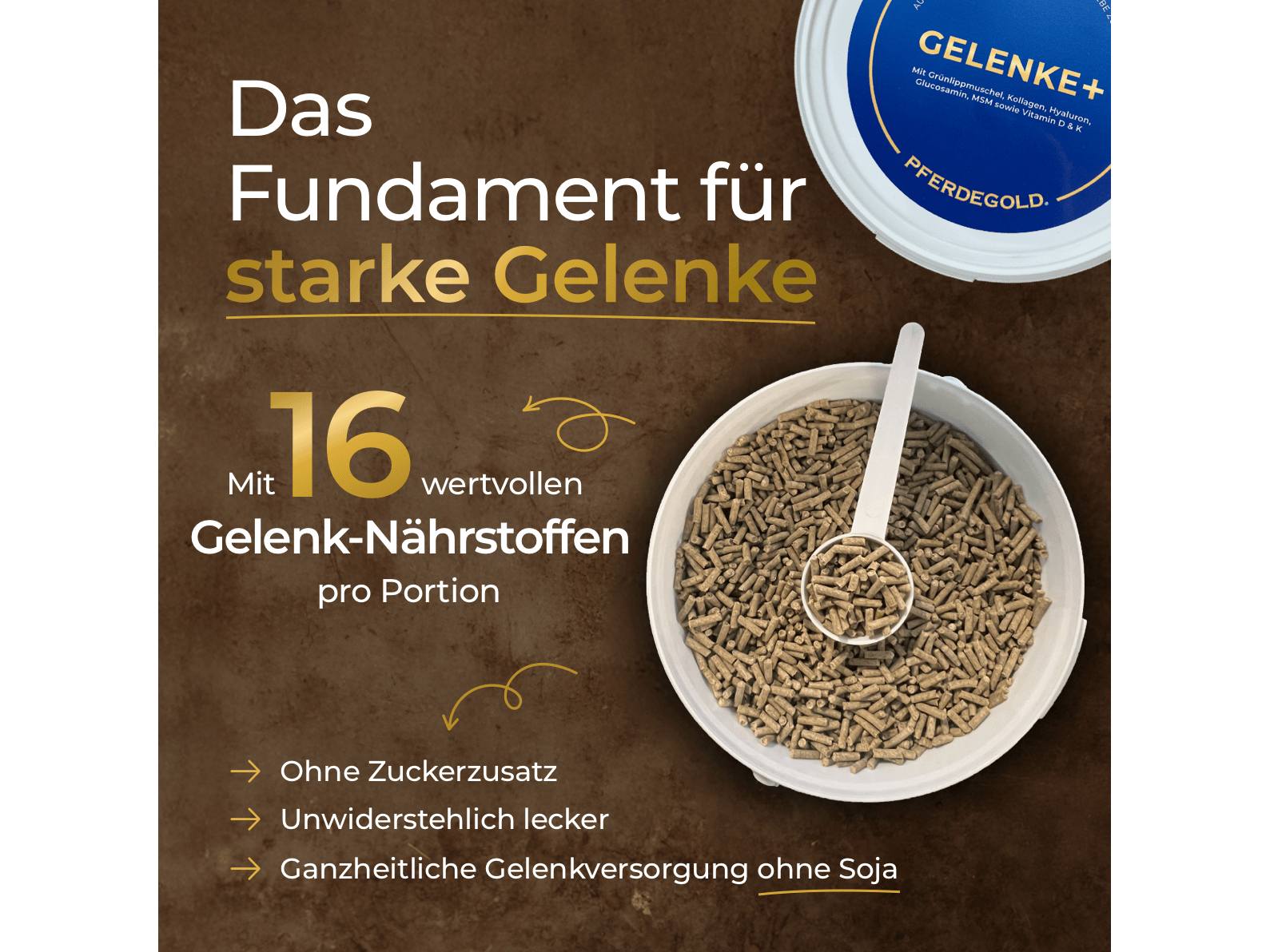 Gelenke+ 2.0