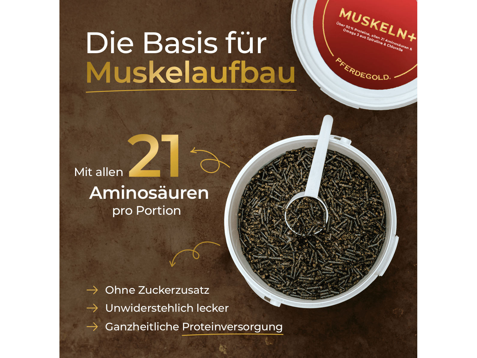 Muskeln+ 2.0