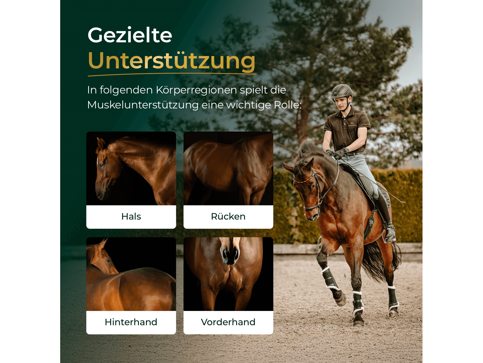 Muskeln 2.0 Sojafrei