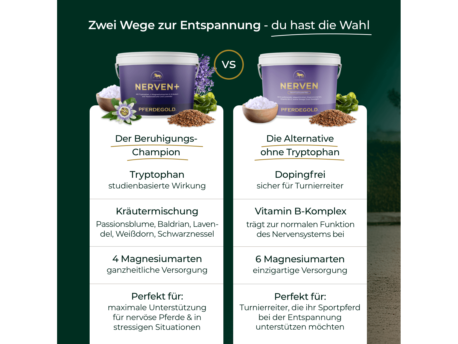 Nerven+ mit Tryptophan