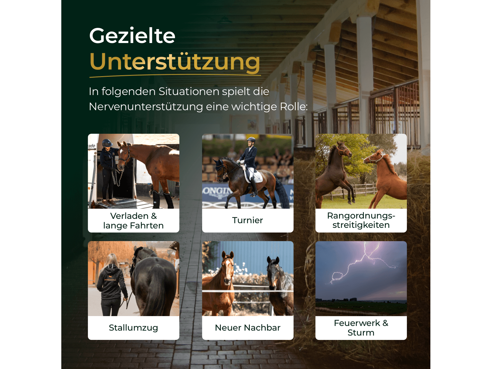 Nerven+ mit Tryptophan