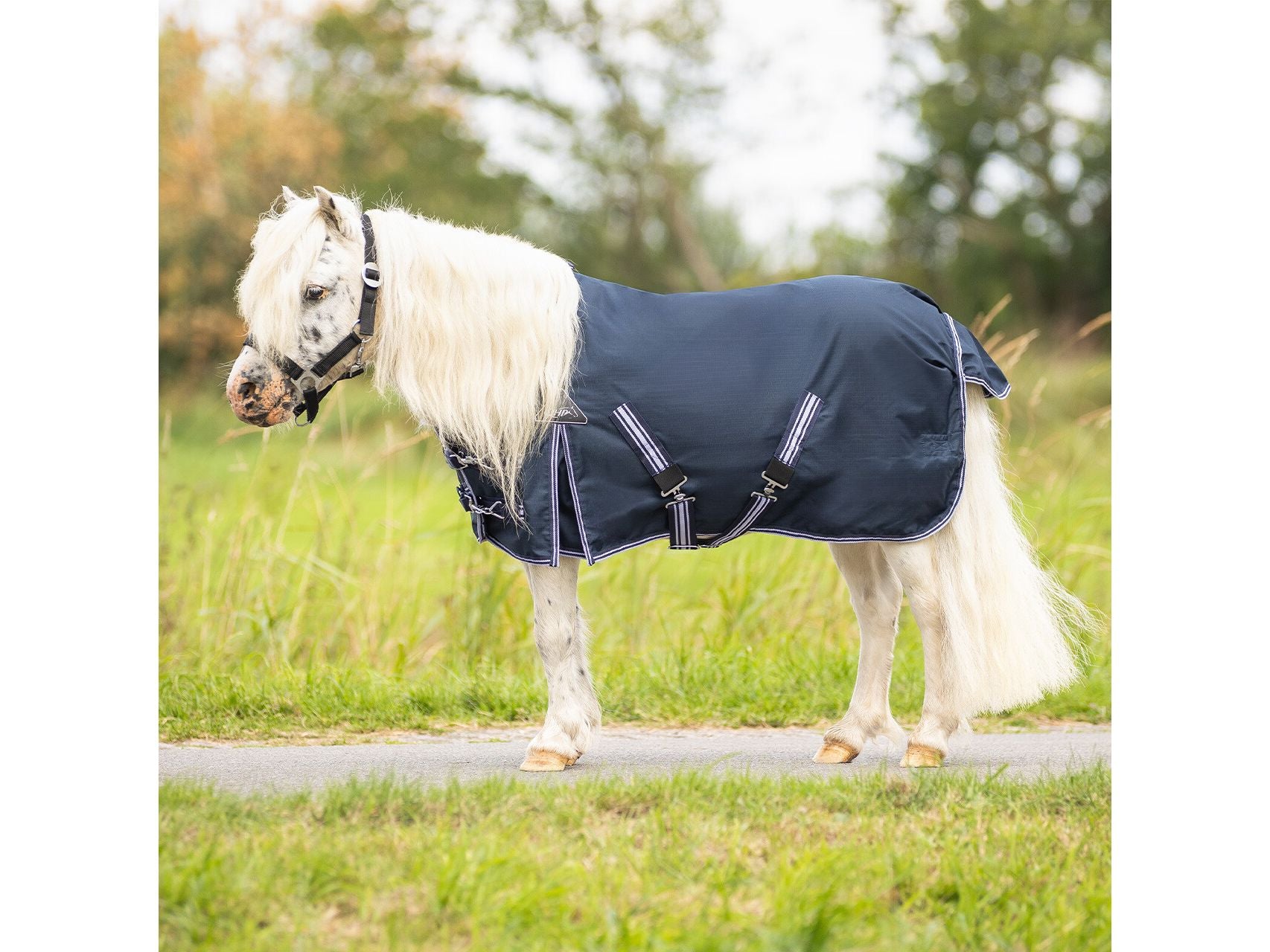 Eine feine Regendecke von QHP mit 0g Futter, die dafür sorgt, dass Dein Falabella oder Pony trocken und vor Wind geschützt bleibt