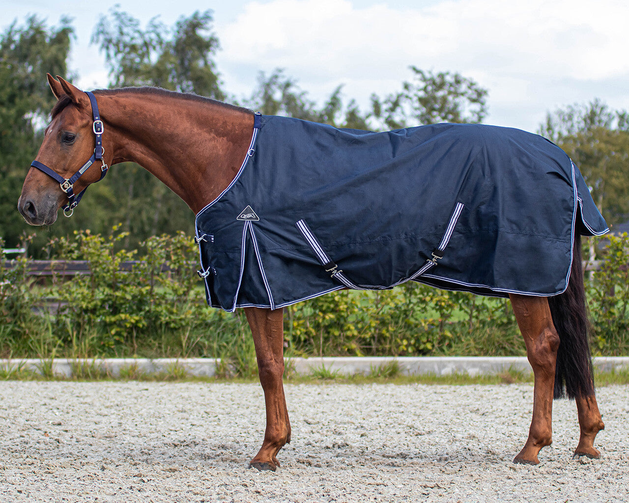 QHP Regendecke Turnout Luxus 0gr