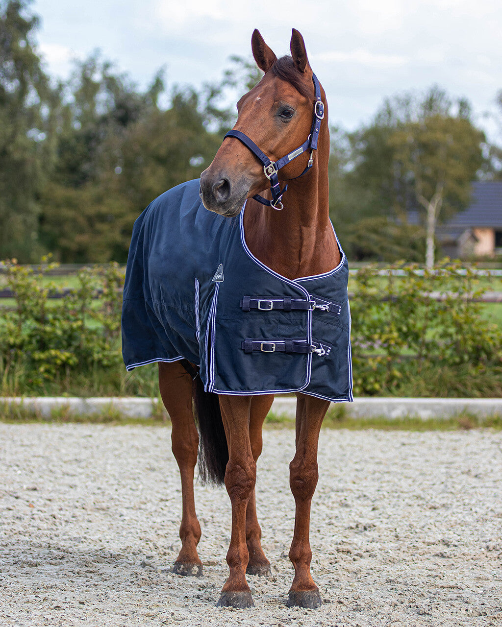 QHP Regendecke Turnout Luxus 0gr