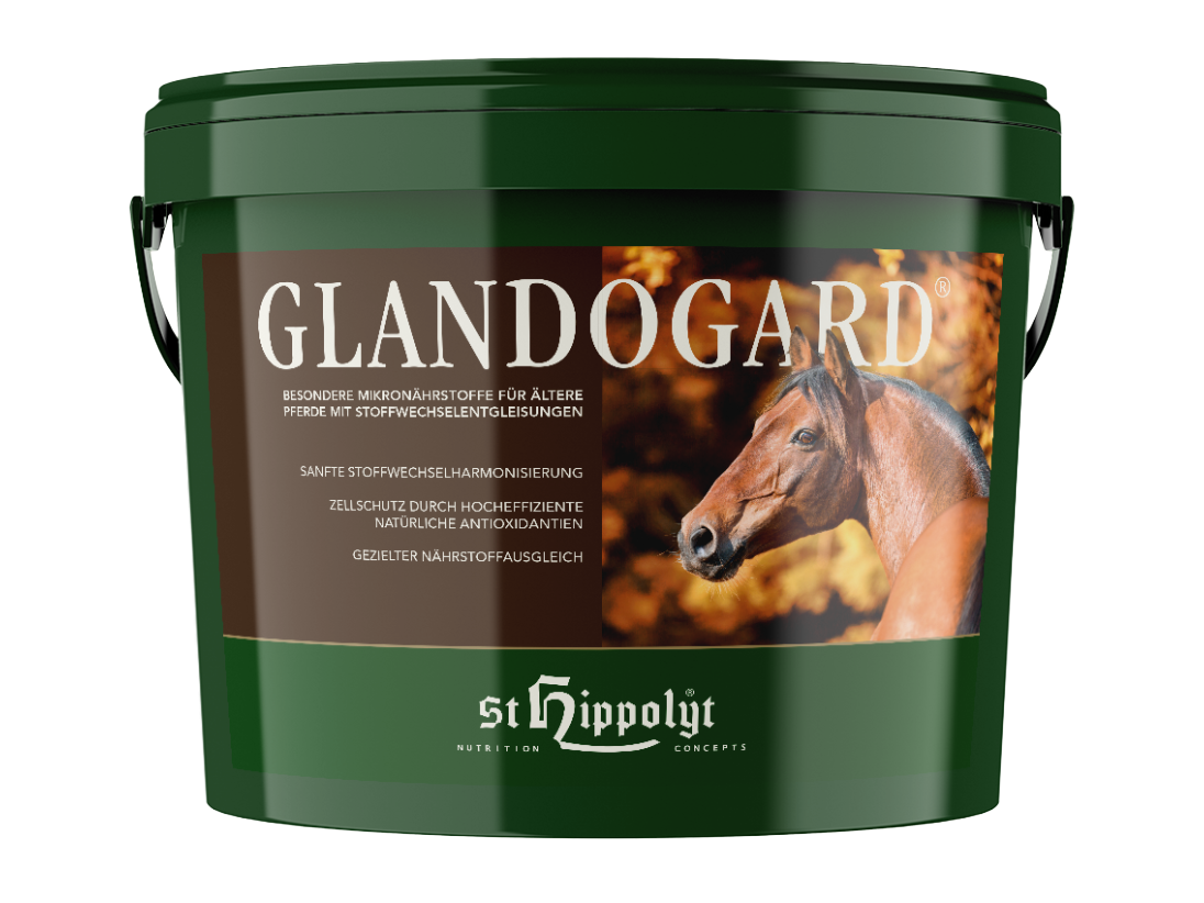 St. Hippolyt Glandogard® – besondere Mikronährstoffe für die Lebensqualität älterer Pferde und Ponys mit Stoffwechselentgleisungen