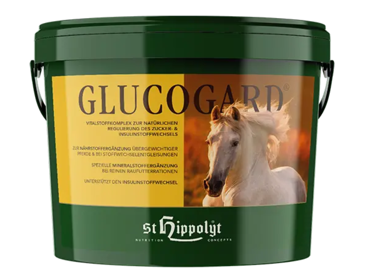 Vitalstoffkomplex zur natürlichen Regulierung des Zucker- und Insulinstoffwechsels