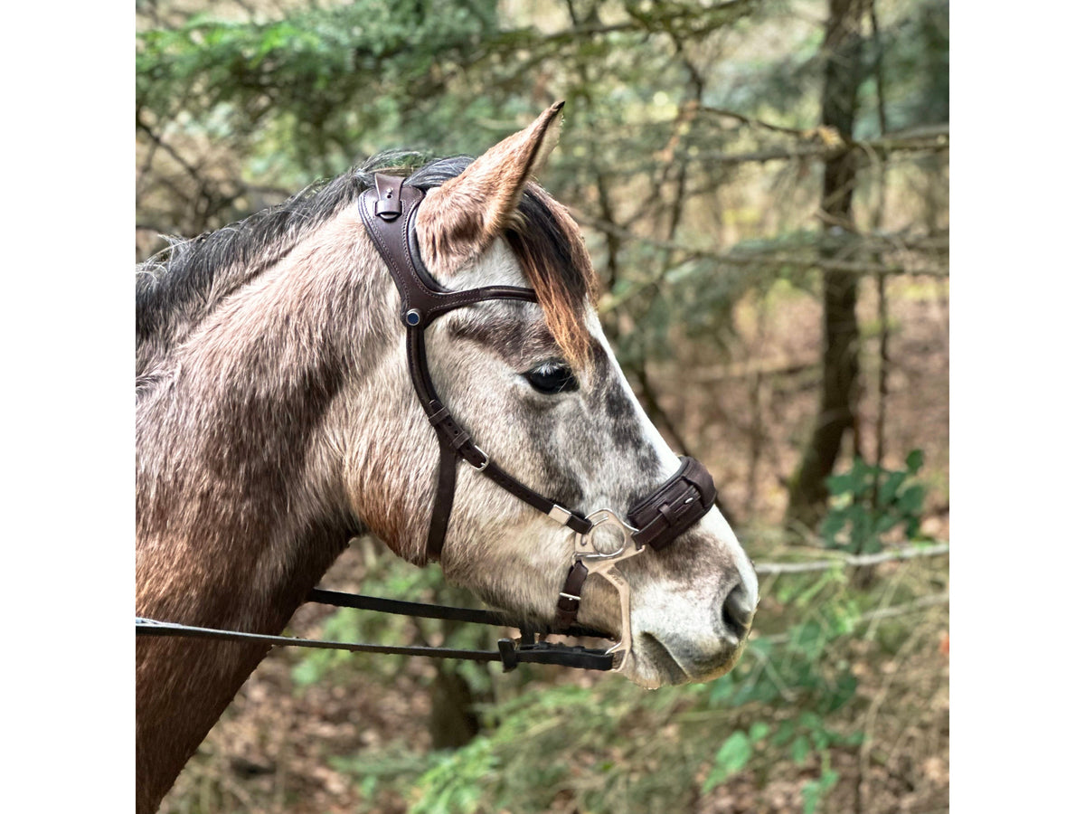 Stübben STEELtec Hackamore
