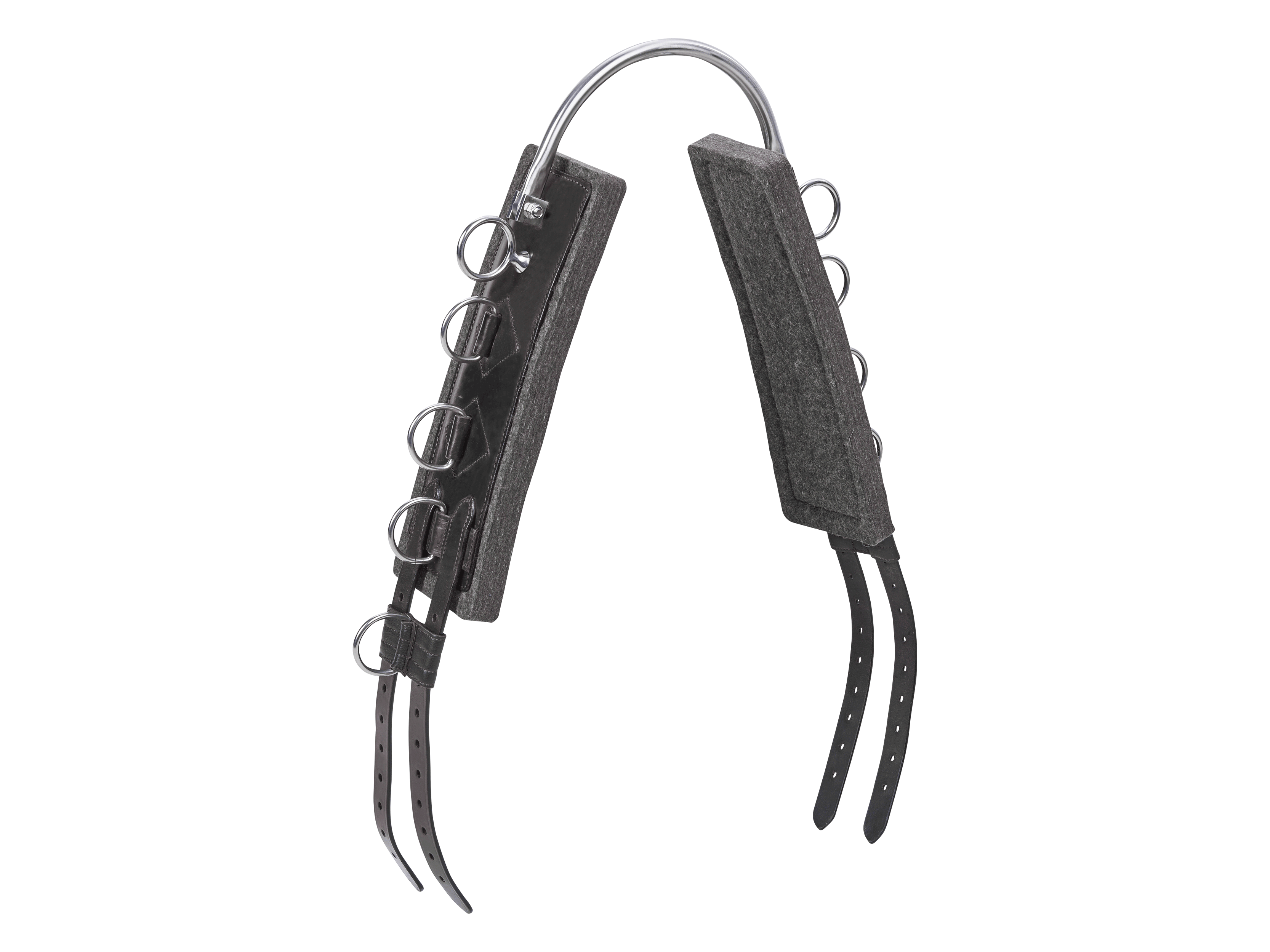 BUSSE  Longiergurt FLEX FIT