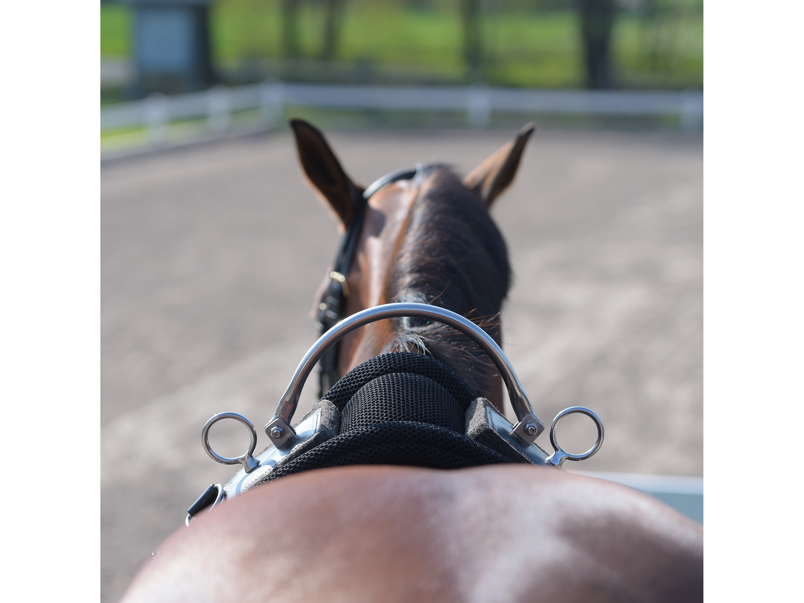 BUSSE  Longiergurt FLEX FIT