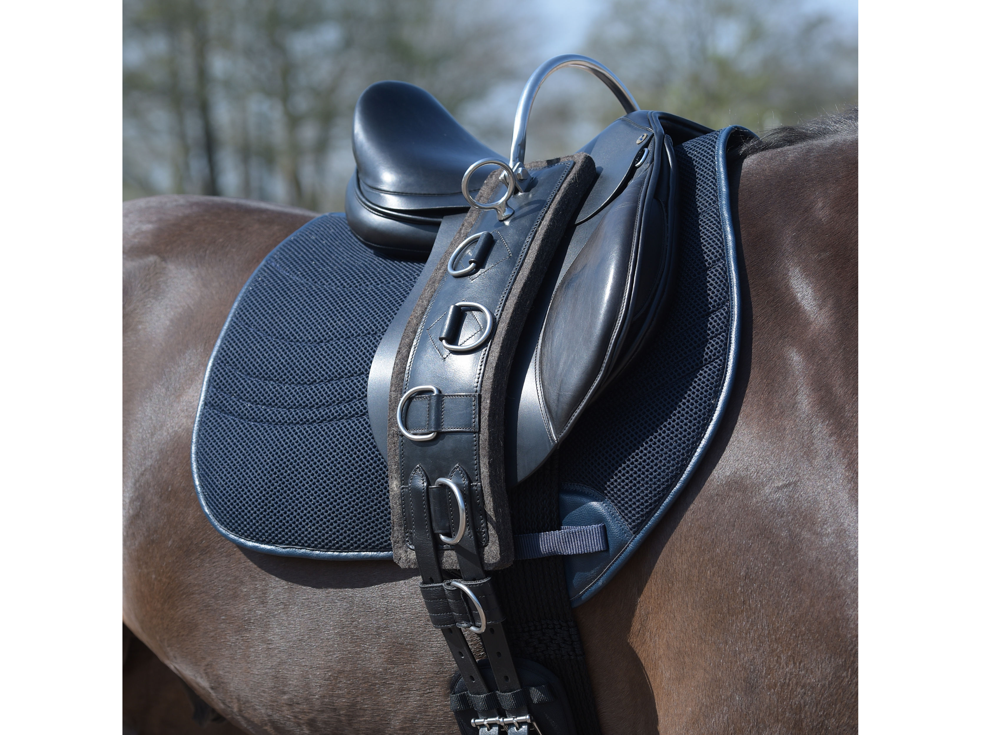 BUSSE  Longiergurt FLEX FIT