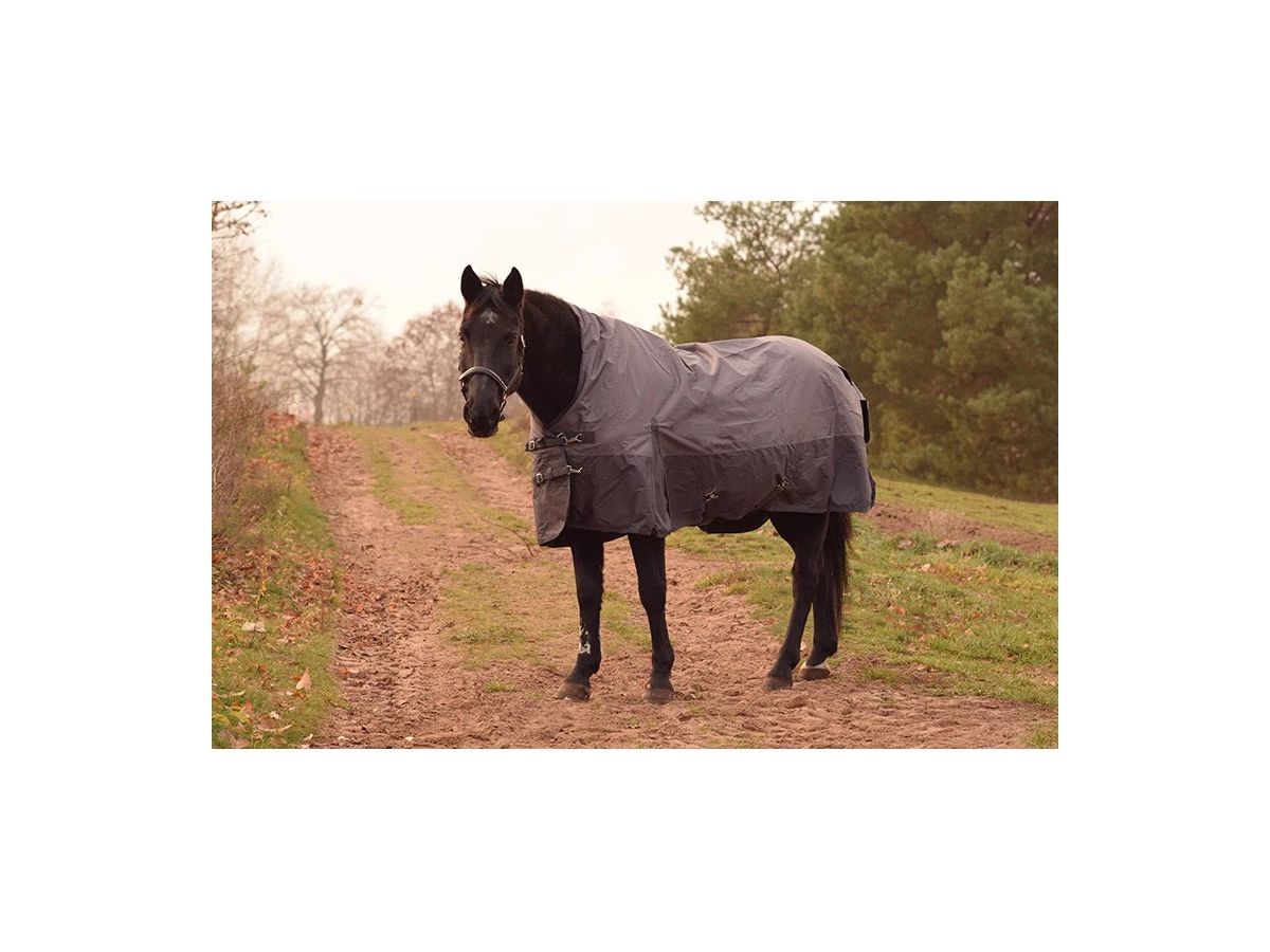 Icelandic Horse Turnout Collection Regendecke Rain