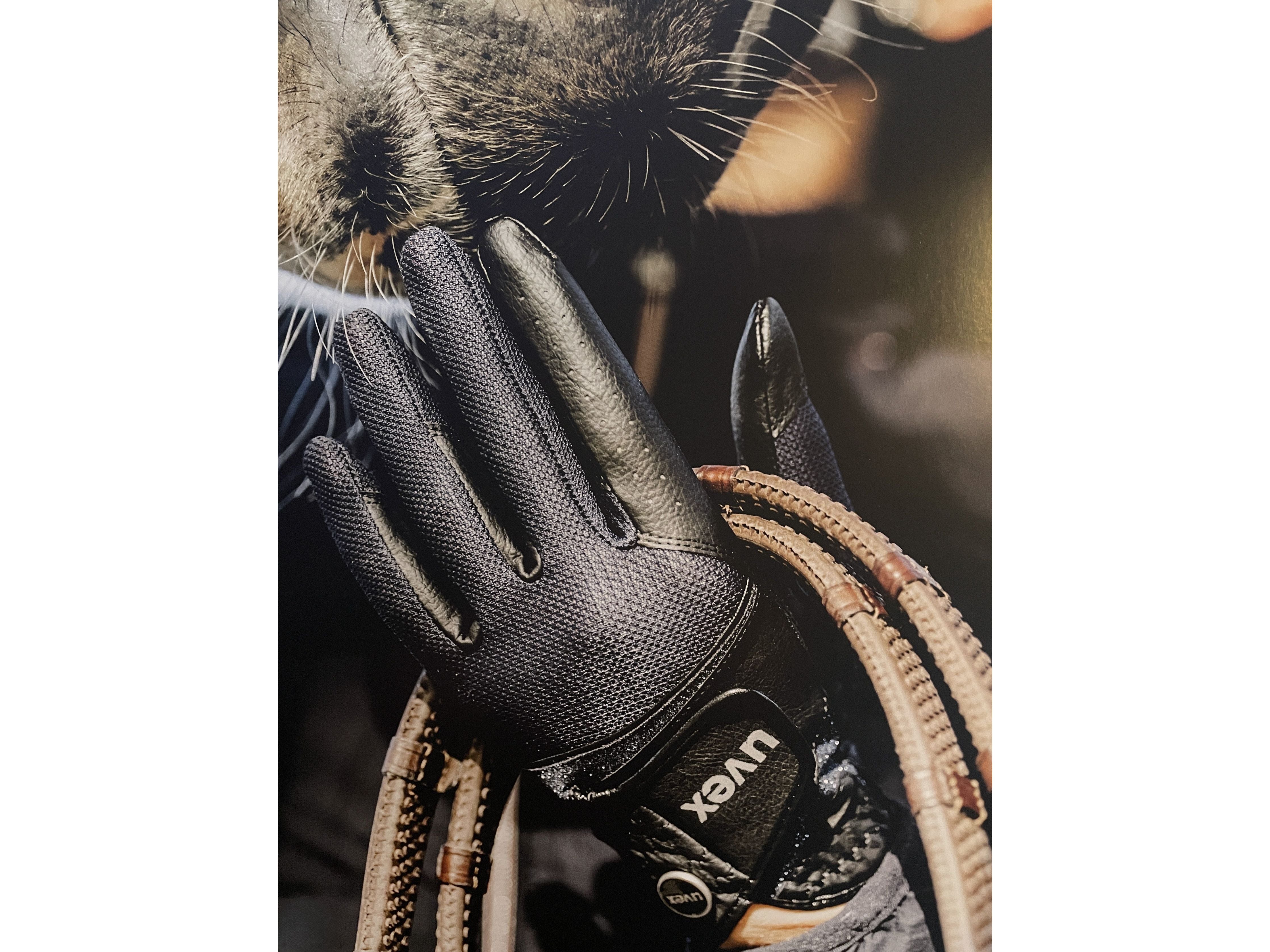 uvex Reithandschuh Sumair Glamour