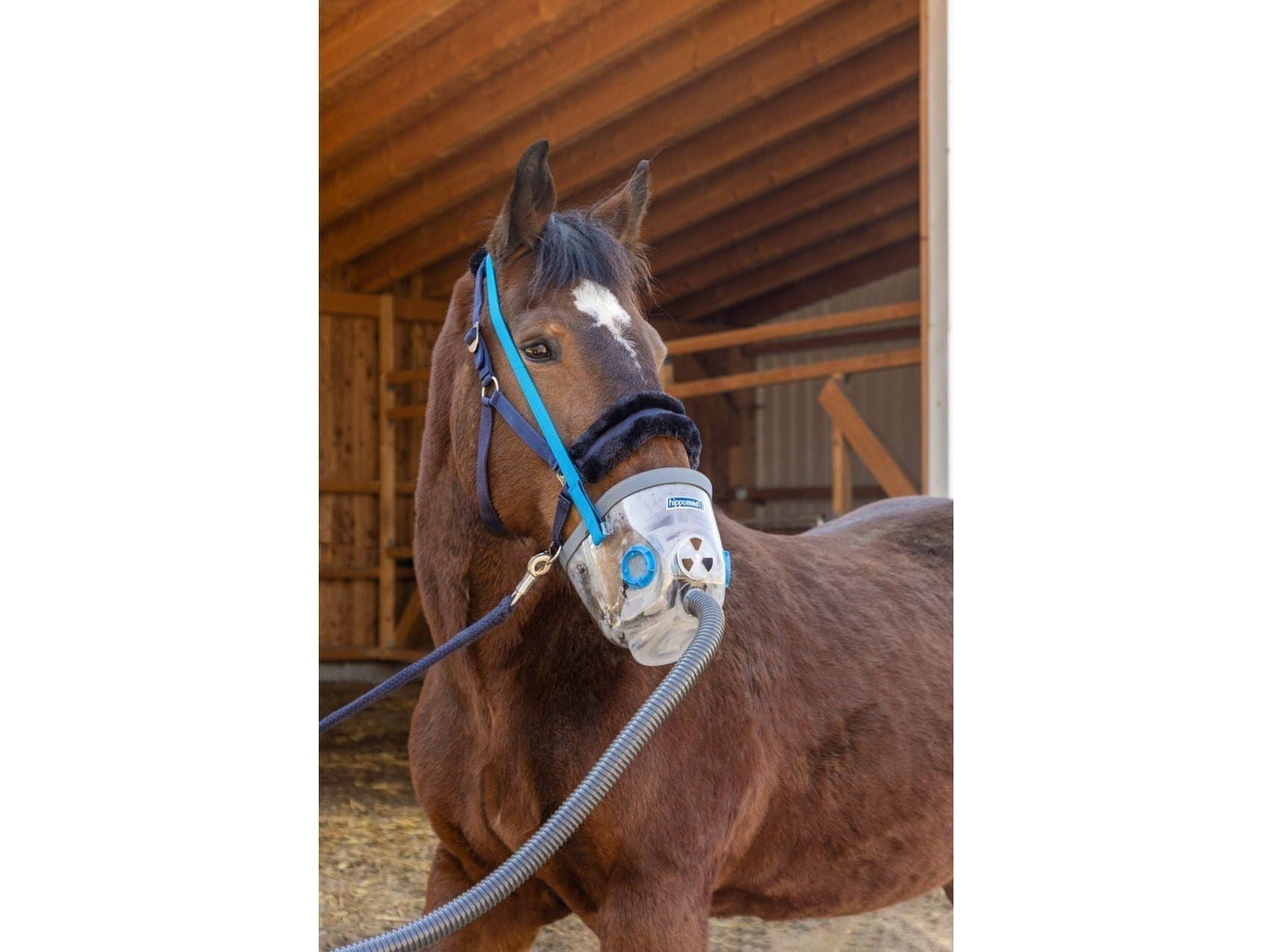 Masque d'inhalation Hippomed Air One pour chevaux avec accessoires