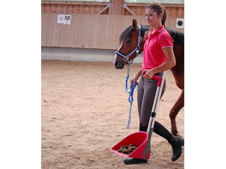 Icelandic Horse großer Mistboy mit extra langem Stiel