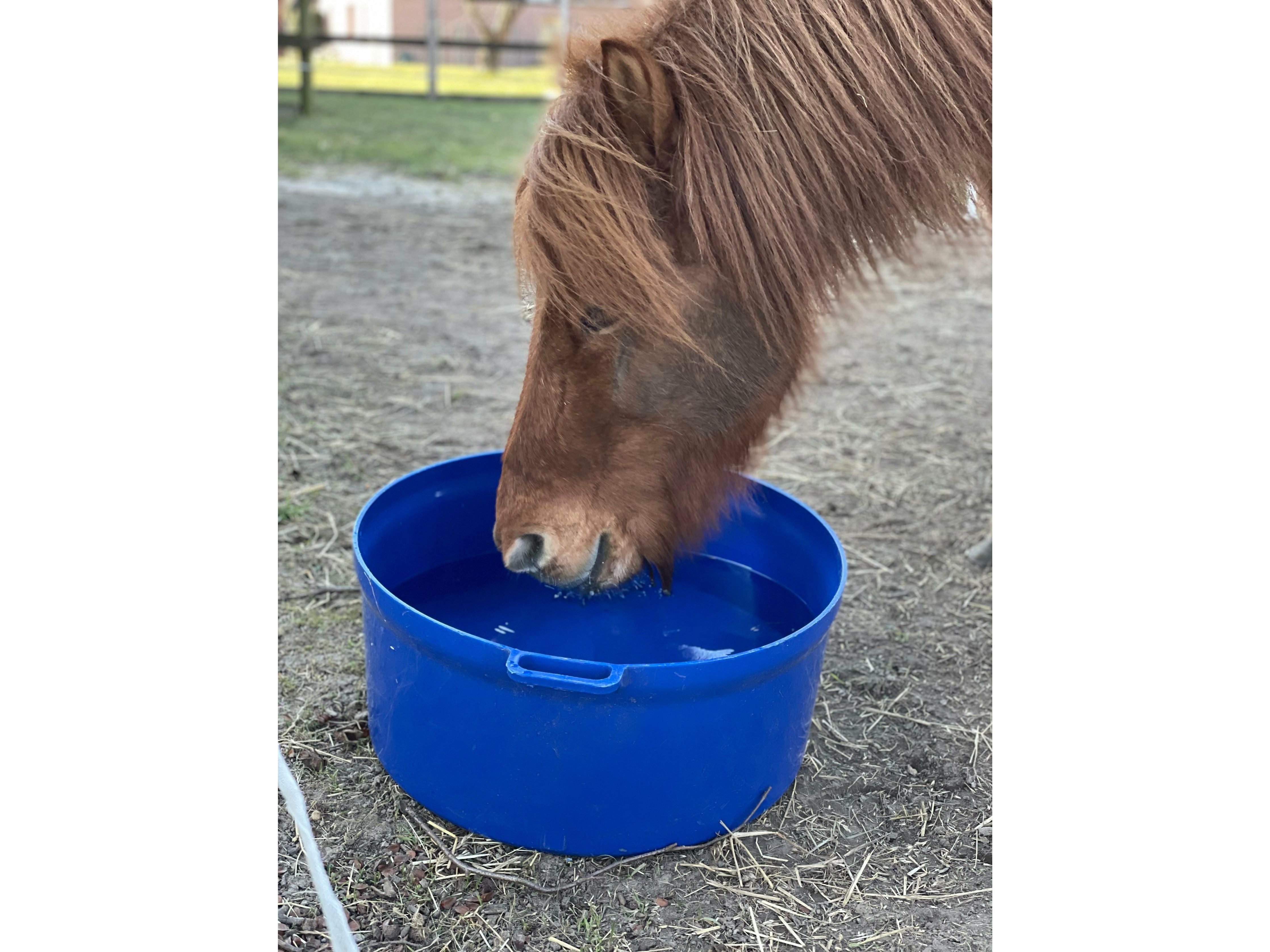 Icelandic Horse flexible water trough 50 liters