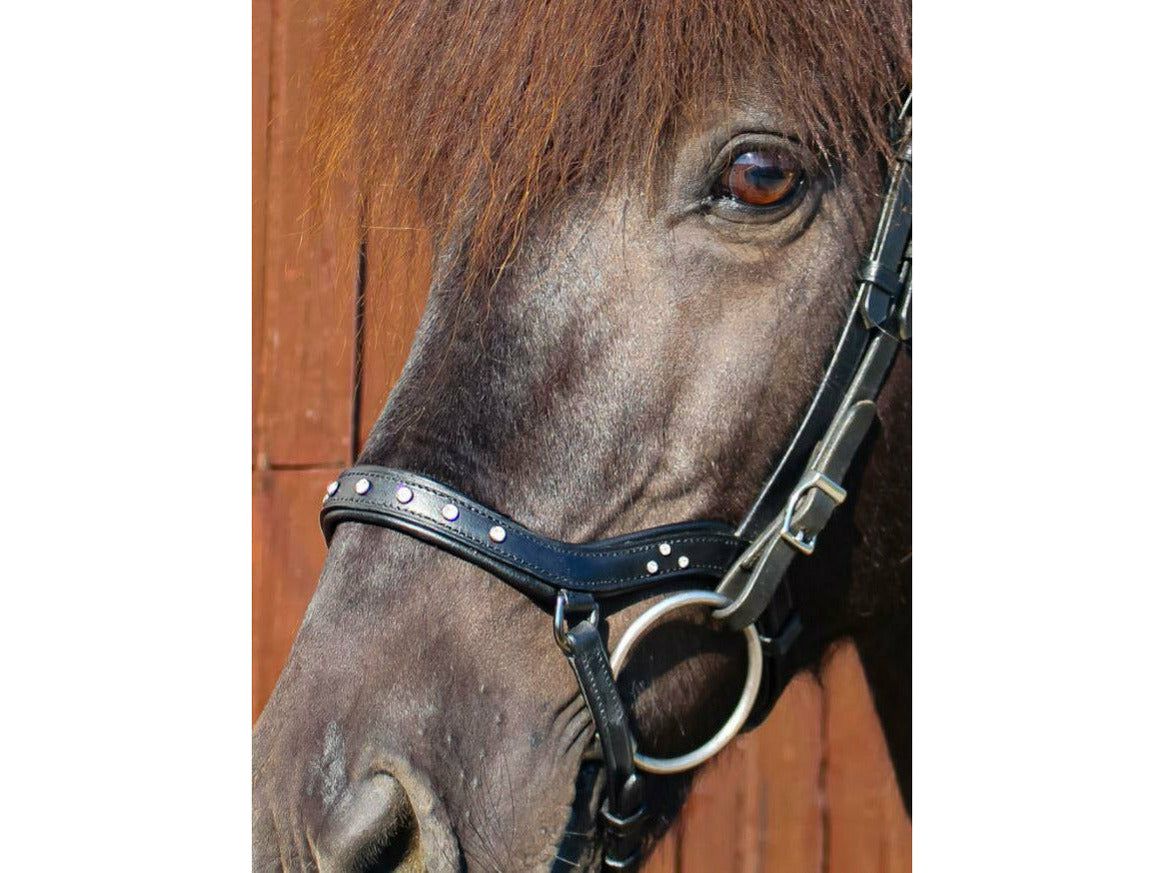 Hilbar bridle line Royal exclusive anatomical noseband Kongur (z)