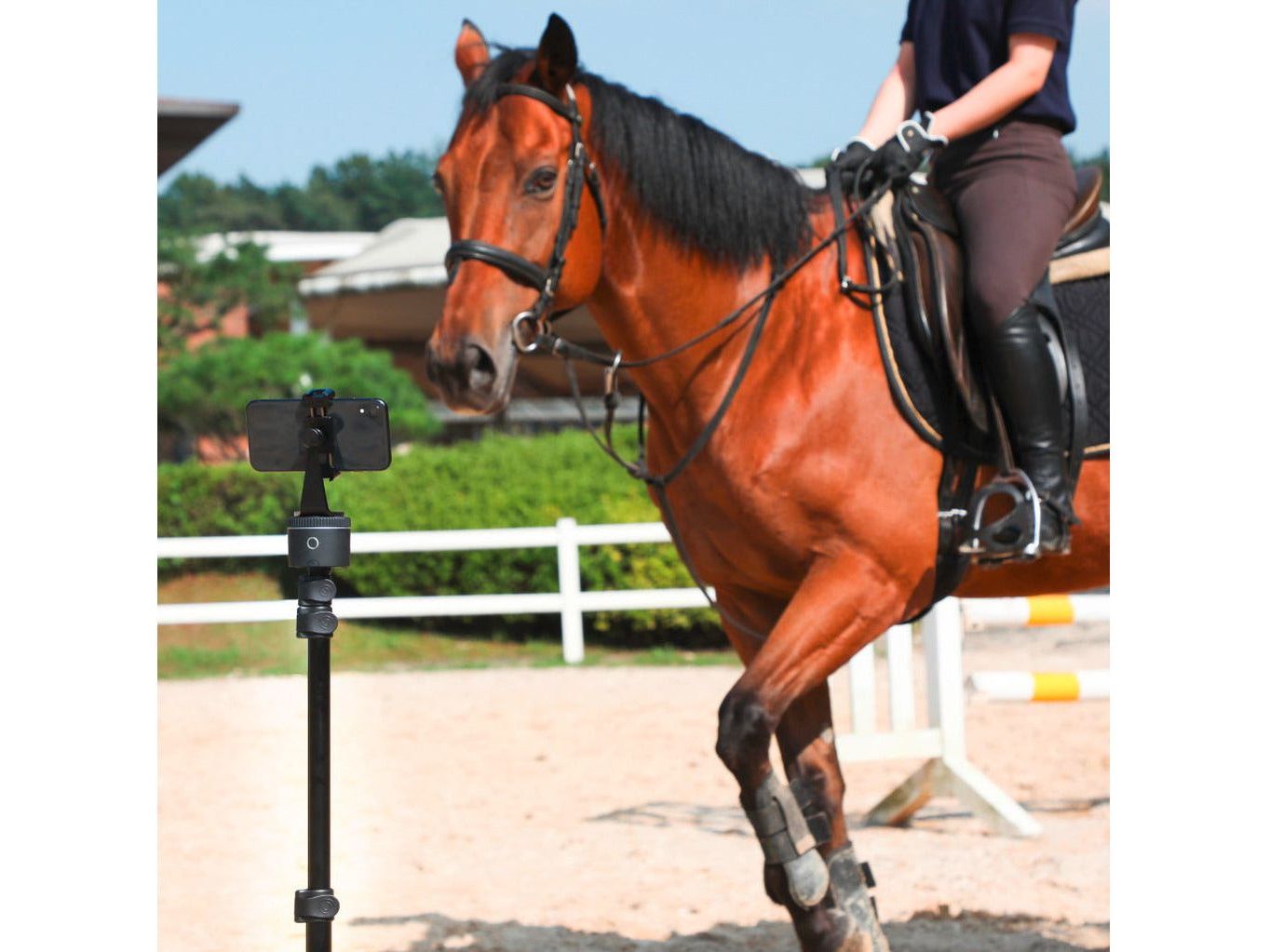 Support pour smartphone Pivo Standard Pack - enregistrement automatique à 360° pendant la conduite