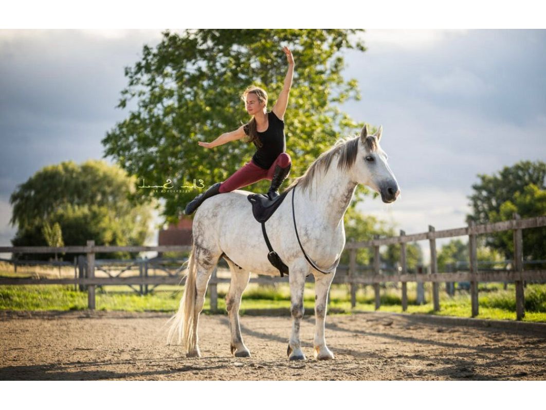 Coussin d'équitation ThinLine Confort