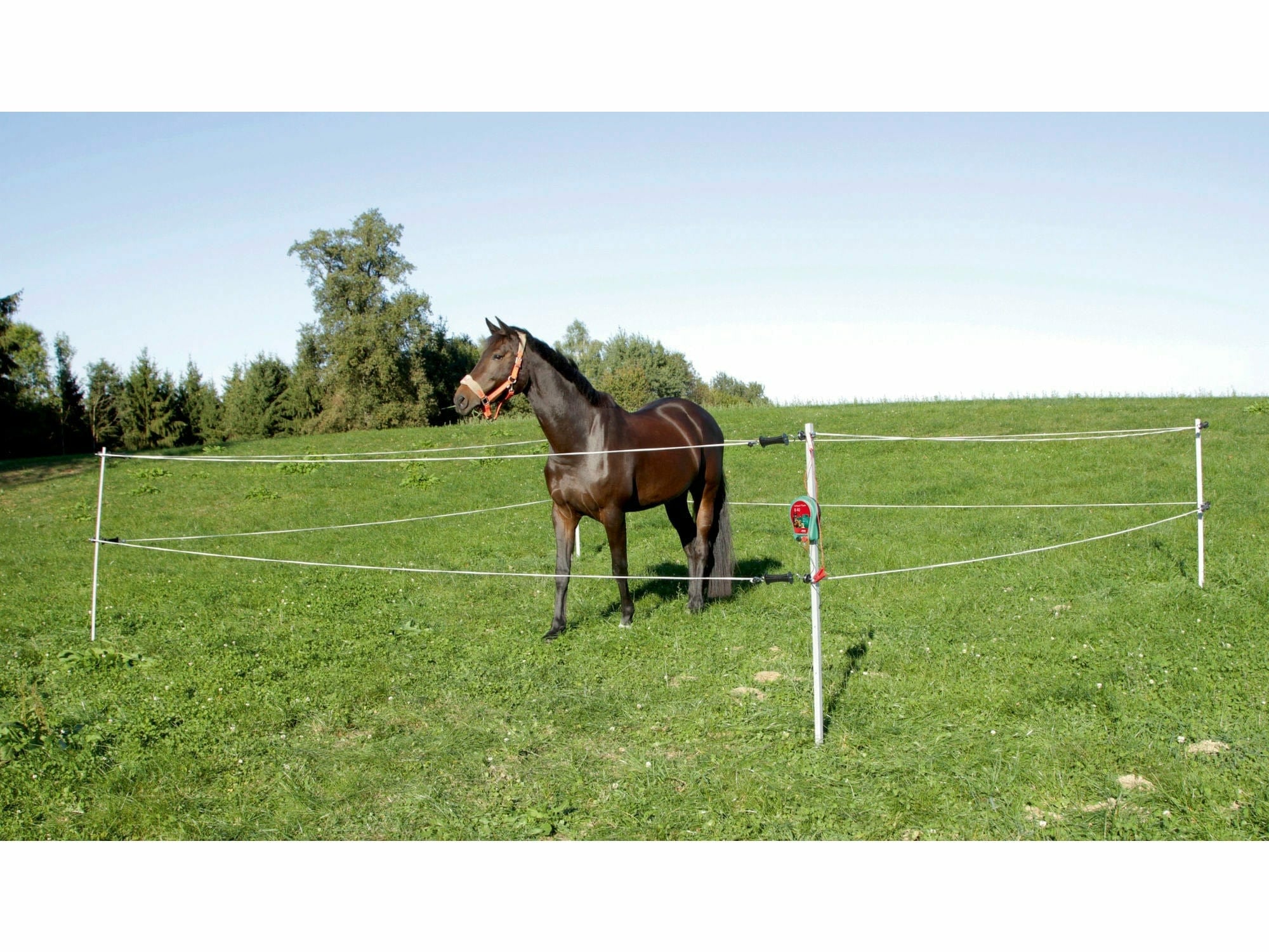 Tournoi/enclos de chevaux islandais 7 x 7 m, avec escrimeur électrique