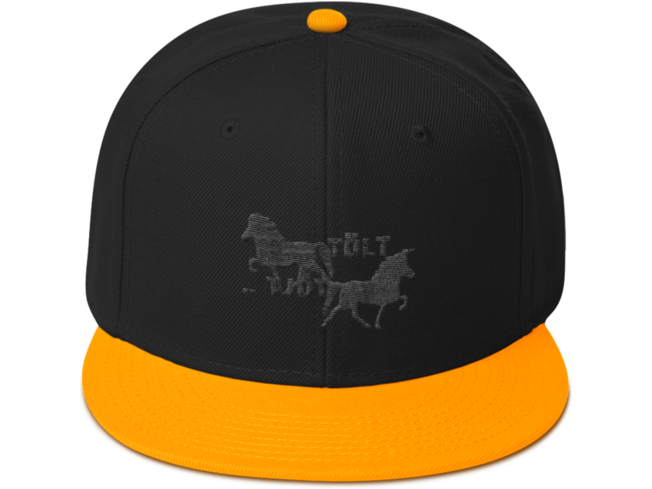 Icelandic Horse Islandpferde Snapback Cap