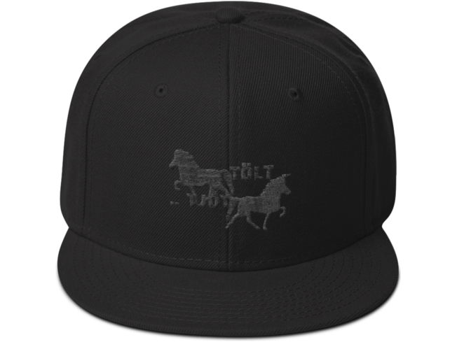 Icelandic Horse Islandpferde Snapback Cap