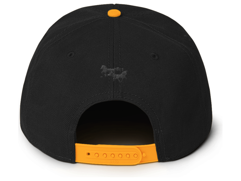 Icelandic Horse Islandpferde Snapback Cap