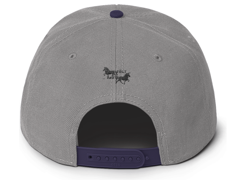 Icelandic Horse Islandpferde Snapback Cap