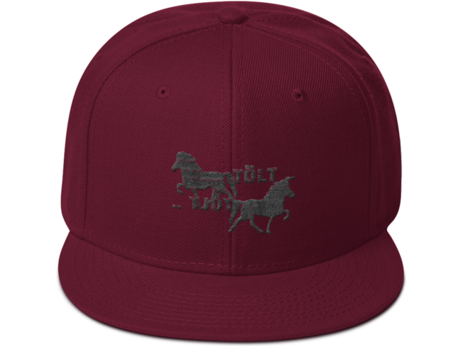 Icelandic Horse Islandpferde Snapback Cap