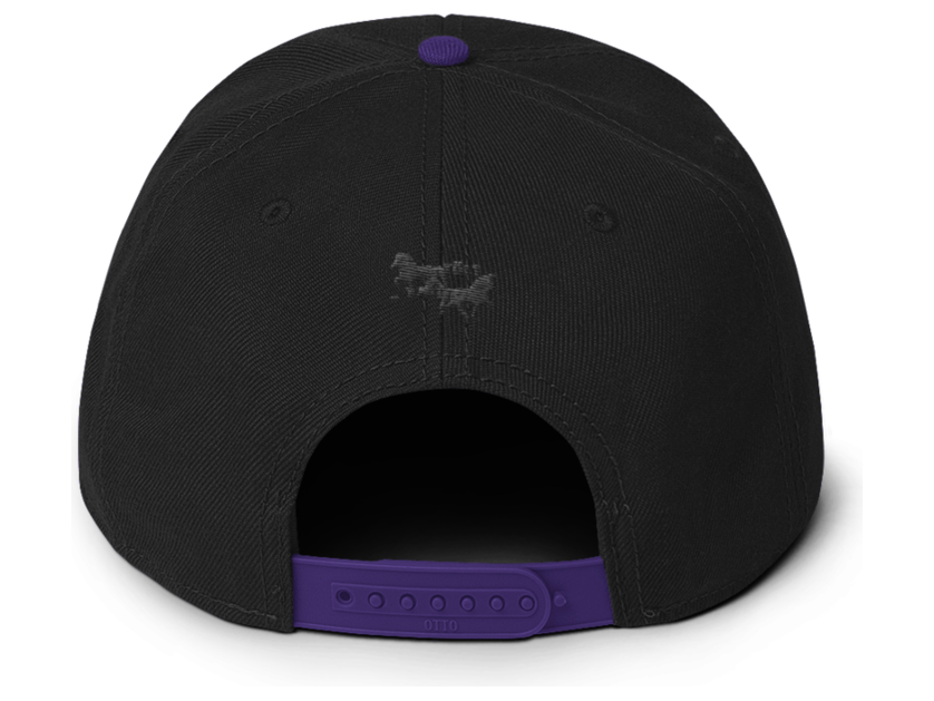 Icelandic Horse Islandpferde Snapback Cap